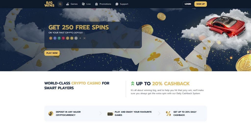 Bigwins Casino Testimonial: Complete Testimonial in 2025