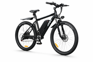 Electric Bike ZNH 750W