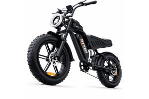Electric Bike 	DTTZH